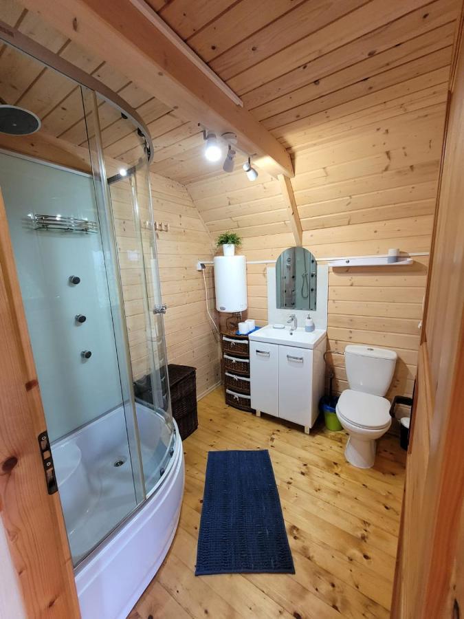 Villa Sasinowe Zacisze Extérieur photo